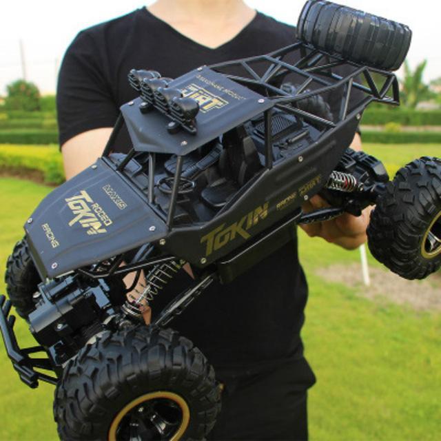 RC Rock Crawler 4x4, Off-Road Remote Control Truck with Dual Motors 4WD-Ridorn