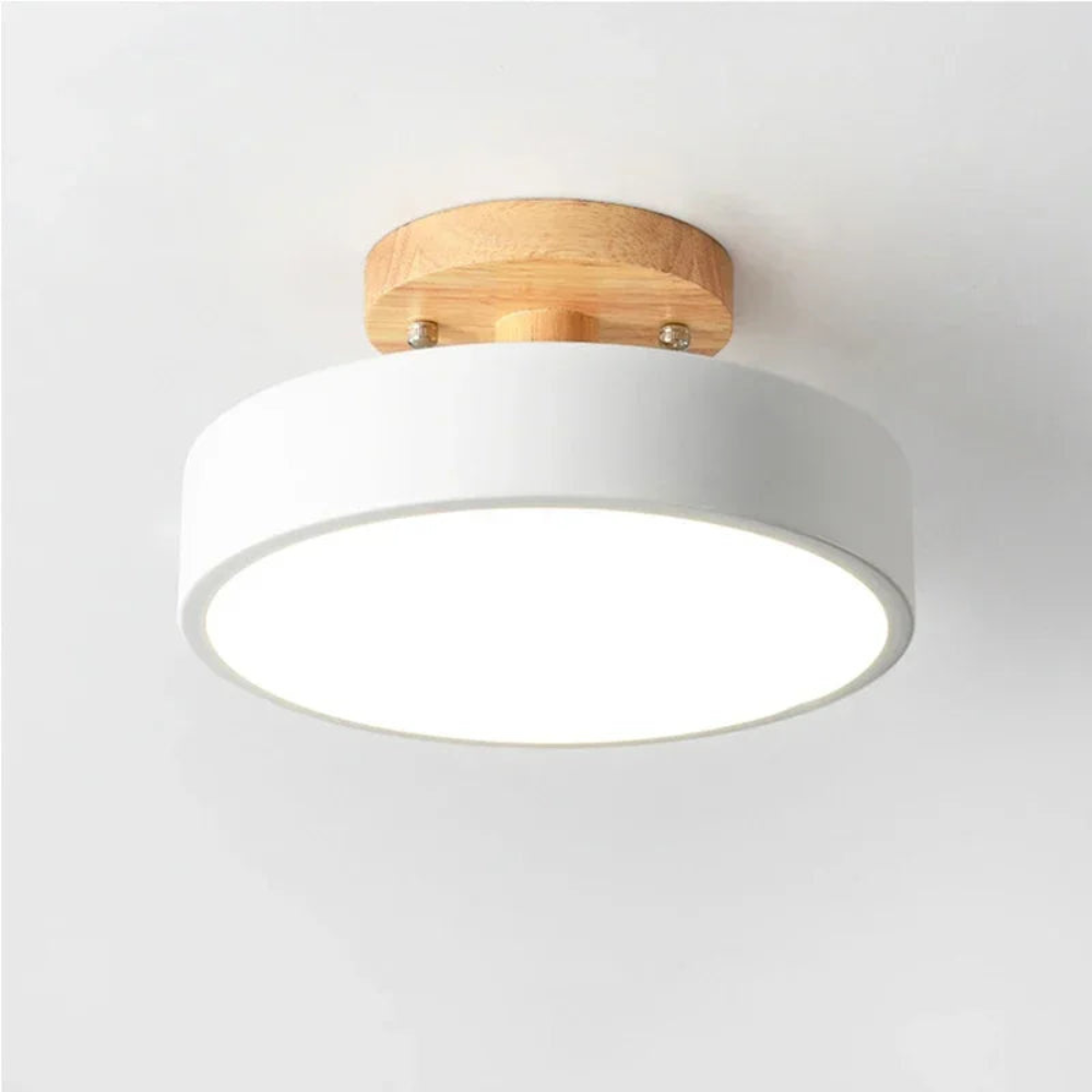 Sleek Round LED Ceiling Light for Modern Spaces | Ridorn