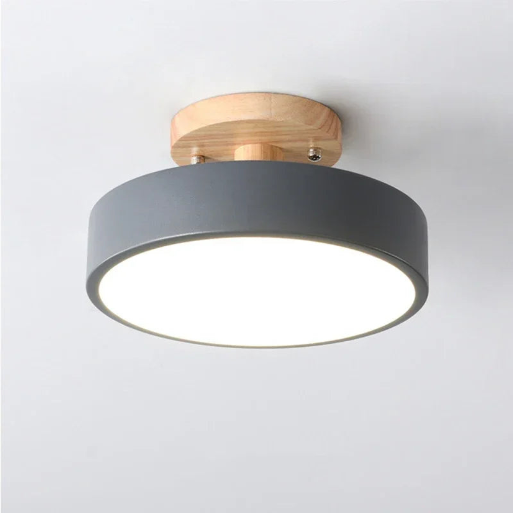 Sleek Round LED Ceiling Light for Modern Spaces | Ridorn