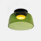 Modern Frosted Glass Ceiling Pendant Light Fixture | Ridorn