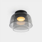 Modern Frosted Glass Ceiling Pendant Light Fixture | Ridorn