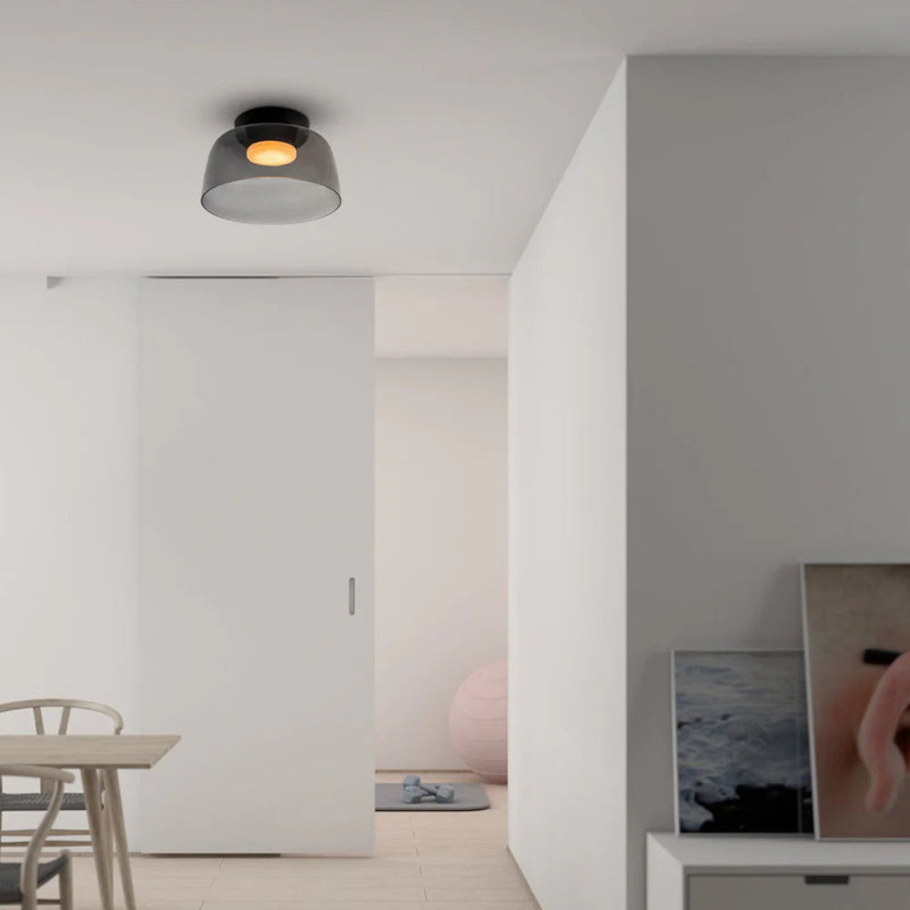 Modern Frosted Glass Ceiling Pendant Light Fixture | Ridorn