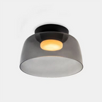 Modern Frosted Glass Ceiling Pendant Light Fixture | Ridorn