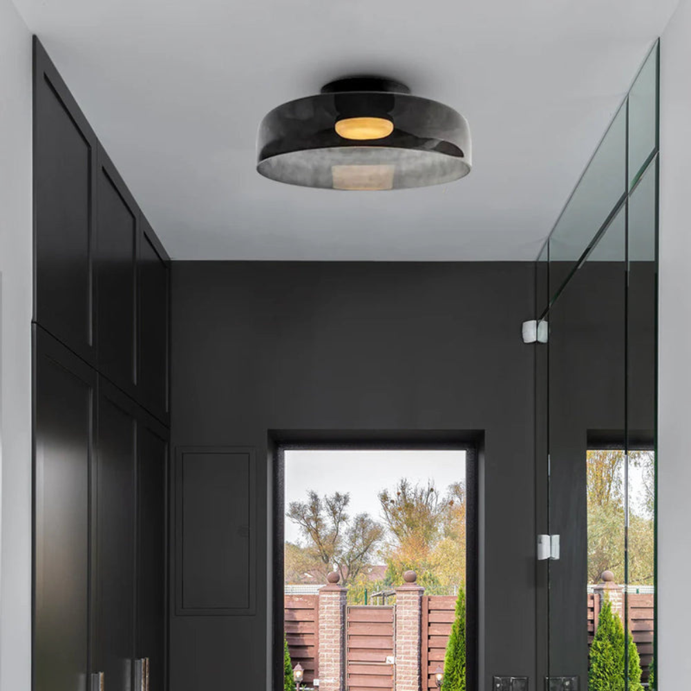 Modern Frosted Glass Ceiling Pendant Light Fixture | Ridorn