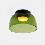 Modern Frosted Glass Ceiling Pendant Light Fixture | Ridorn