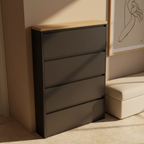 Sleek Minimalist Shoe Storage Cabinet with Flip Drawers | Ridorn-Shoe Storage-Ridorn