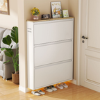 Sleek Minimalist Shoe Storage Cabinet with Flip Drawers | Ridorn-Shoe Storage-Ridorn