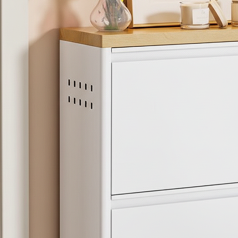 Sleek Minimalist Shoe Storage Cabinet with Flip Drawers | Ridorn-Shoe Storage-Ridorn