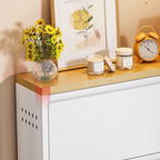 Sleek Minimalist Shoe Storage Cabinet with Flip Drawers | Ridorn-Shoe Storage-Ridorn