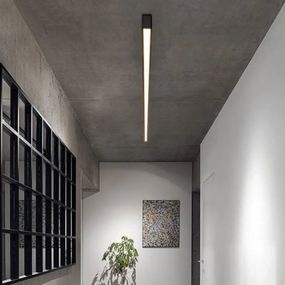 Premium Slim LED Ceiling Light with Adjustable Brightness | Ridorn