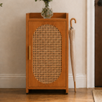 Contemporary tea color shoe storage cabinet with detachable shelves front view