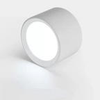 Contemporary Surface-Mounted LED Downlight with Dimming | Ridorn