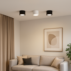 Contemporary Surface-Mounted LED Downlight with Dimming | Ridorn