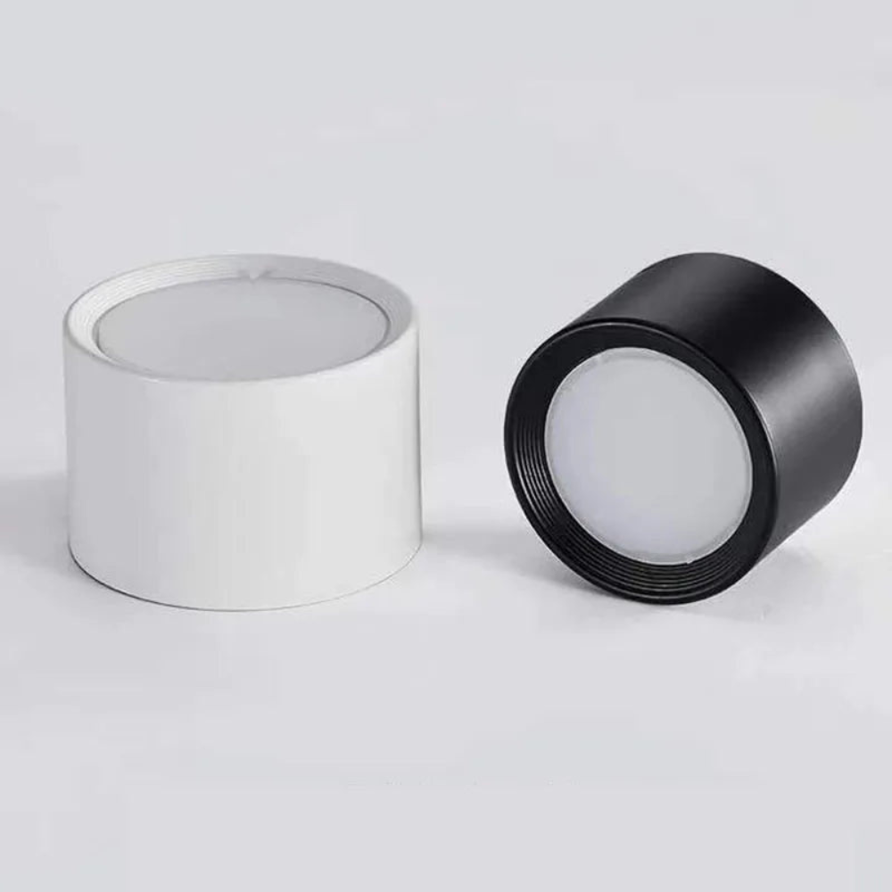 Contemporary Surface-Mounted LED Downlight with Dimming | Ridorn