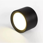 Contemporary Surface-Mounted LED Downlight with Dimming | Ridorn