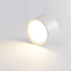 Contemporary Surface-Mounted LED Downlight with Dimming | Ridorn