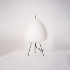 Table Lamp | Paper Shade Sculptural Table Light | Ridorn-Table lamp-Ridorn