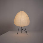 Table Lamp | Paper Shade Sculptural Table Light | Ridorn-Table lamp-Ridorn
