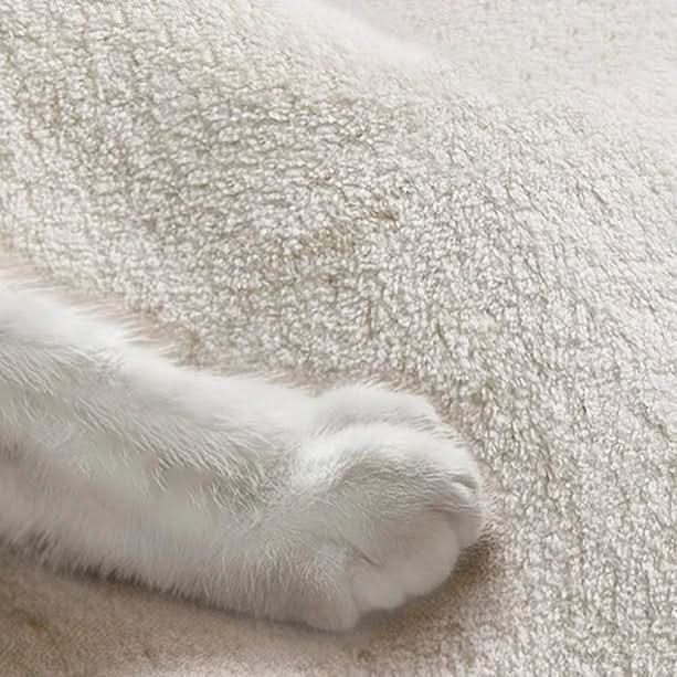 Velmora | Plush Round Japanese-Inspired Washable Area Rug | Ridorn