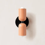 Wall Light Modern | Up and Down Lighting Fixture | Ridorn